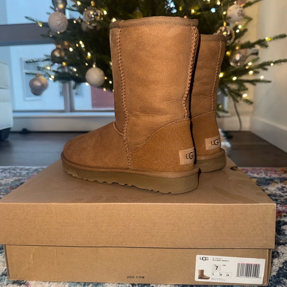 UGG Chestnut Suede Boots